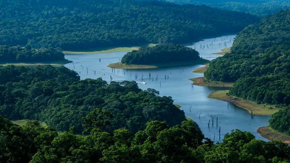 Green Leaf Home Stay Thekkady Eksteriør bilde