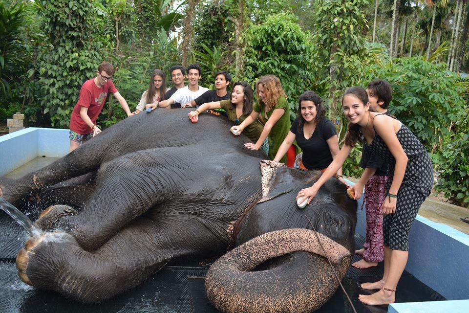 Green Leaf Home Stay Thekkady Eksteriør bilde