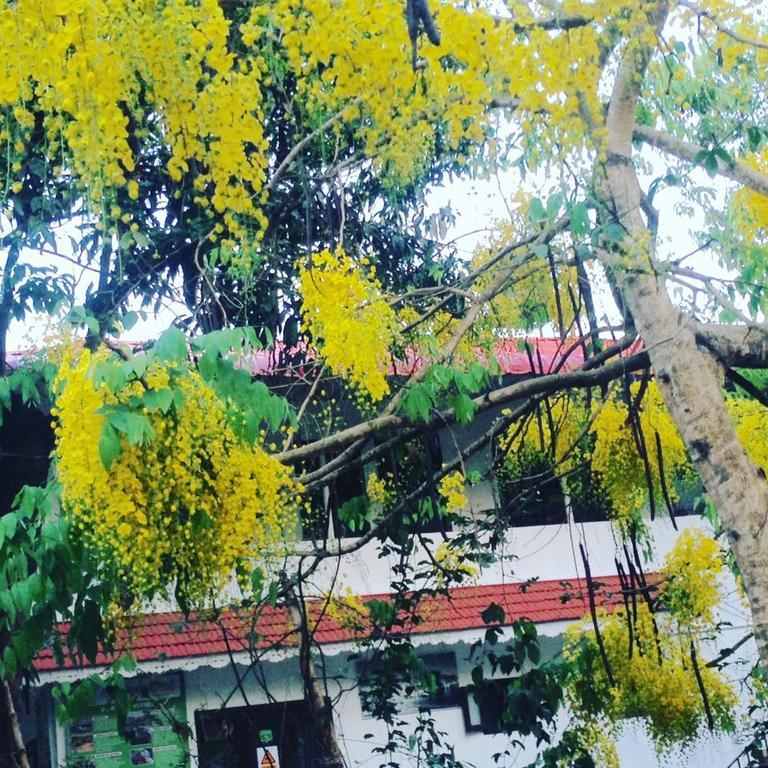 Green Leaf Home Stay Thekkady Eksteriør bilde